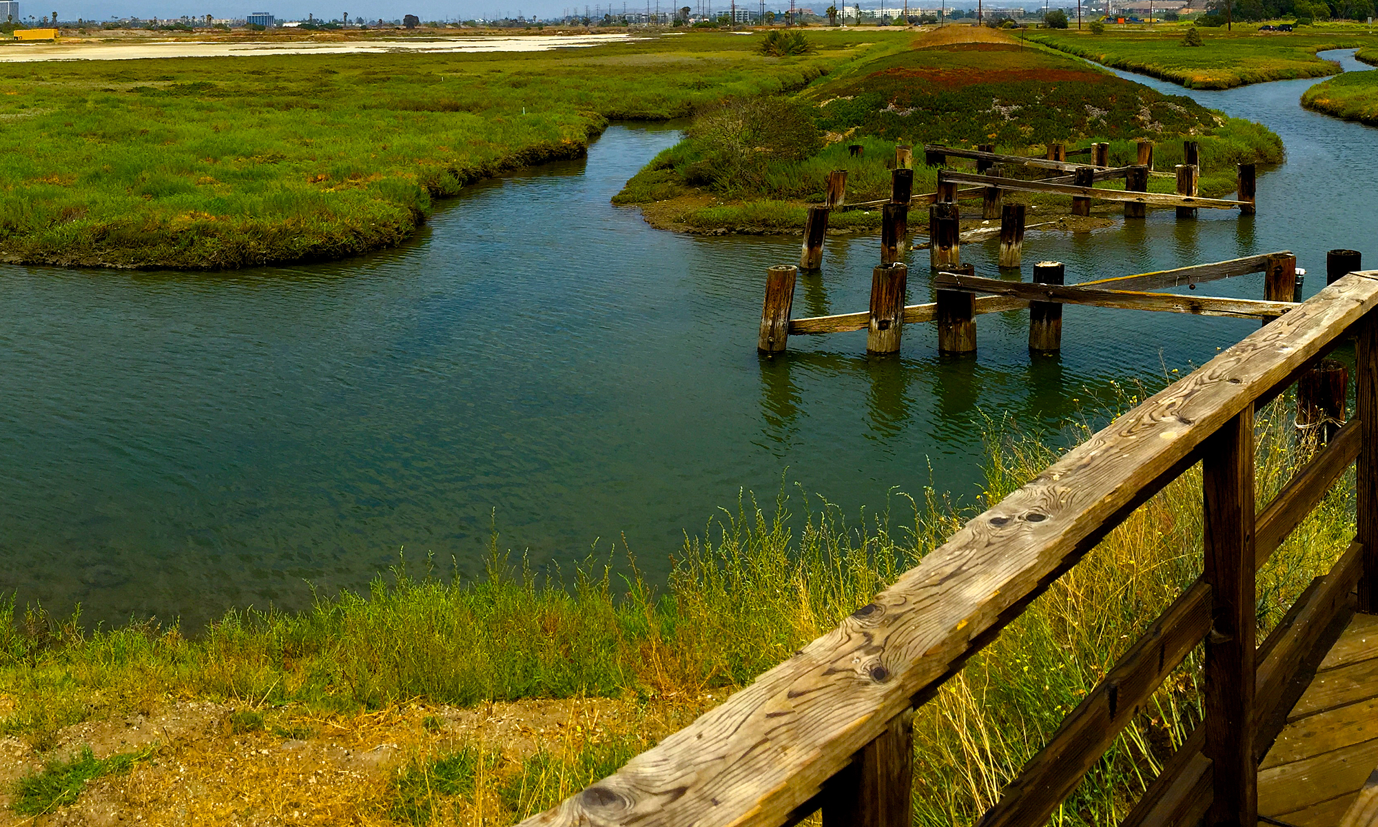 Wetlands Restoration Principles