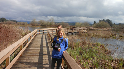 Silver Lake Wetland Trail at Mount St. Helens